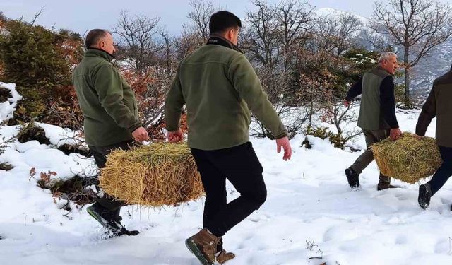 Elazığ’da yaban hayvanları için doğaya yem bırakıldı