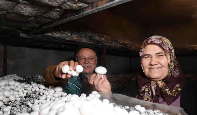 Emekli olunca hobisi ekmek teknesi oldu