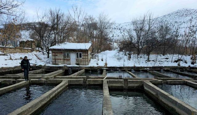 Erzincan’da tesis ve kuluçkahane denetimler sürüyor