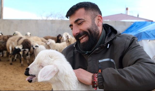 Erzincan’da yılın son kuzuları üreticilerin yüzünü güldürdü