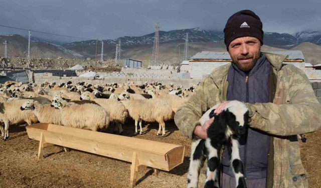 Erzincanlı üreticilerden çağrı: "Tulum Peyniri bizden 100’e çıkıyor, markette 400 oluyor”