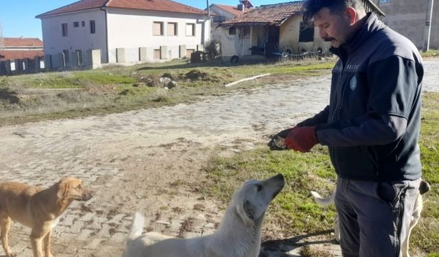 Gediz’de Özel İdare çalışanlarından örnek davranış