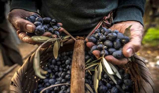 Gemlik’in en güzel fotoğraflarını belli oldu