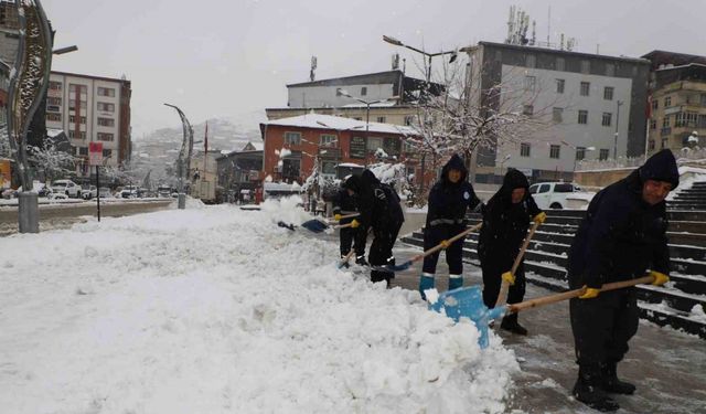 Hakkari Belediyesinin kar timleri görev başında