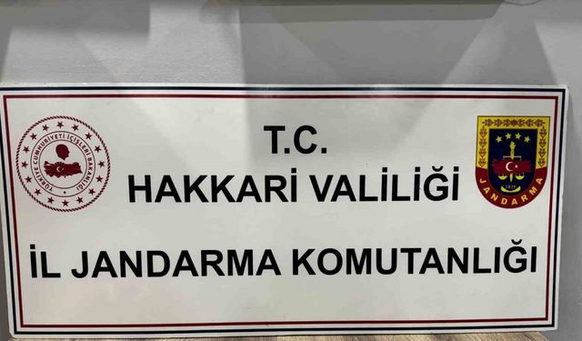 Hakkari’de 4 kilo külçe altın ele geçirildi