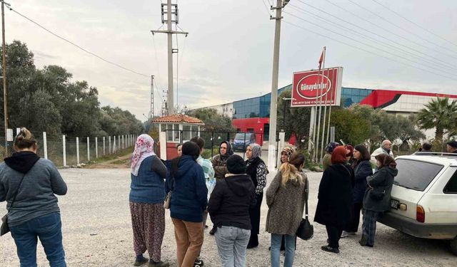 İşletme iflas etti alacaklılar kapıya dayandı