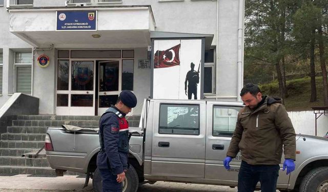 Jandarma, yaralı karacaya sahip çıktı