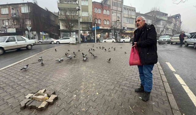 Kahramanmaraşlı esnaf depremde hasar alan cami önündeki güvercinleri her gün yemliyor