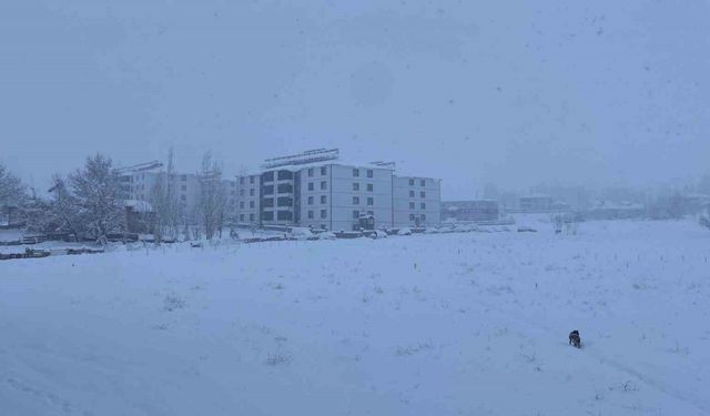 Kar, bir ilçenin tüm köy yollarını ulaşıma kapattı