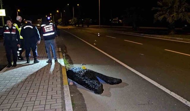 Kardeşini kazadan korumak isteyen ağabey, otomobilin çarpmasıyla hayatını kaybetti