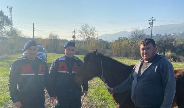 Kaybolan rahvan atı, jandarma ekiplerince bulundu