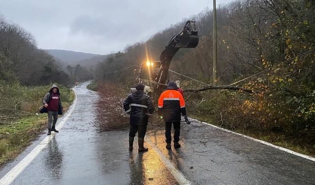 Kırklareli’nde rüzgardan kopan elektrik telleri yangına neden oldu