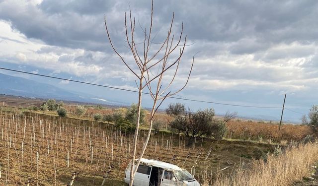 Kontrolden çıkan araç üzüm bağına uçtu