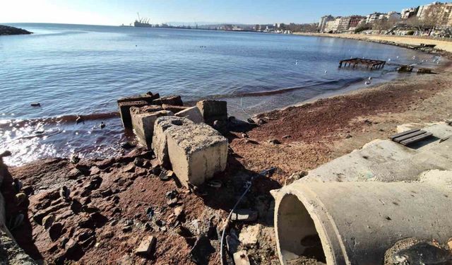 Marmara Denizi’nde lodos sonrası kıyılara kızıl yosun vurdu