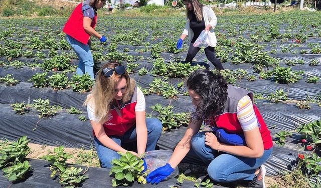 Muğla’da pestisit denetimleriyle sağlık ve çevre güvencesi