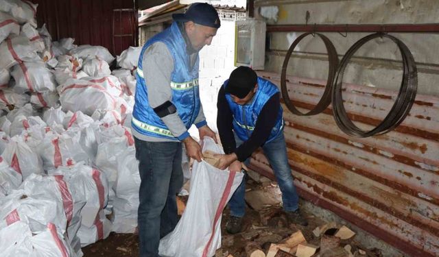 Nazilli’de devrilen ağaçlar yakacak olarak kullanılacak