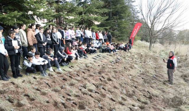 Okul arazisine lavanta, biberiye, kekik ve adaçayı fidanları diktiler