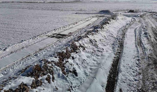 Sivas’ta 60 bin ton şeker pancarı kar altında kaldı