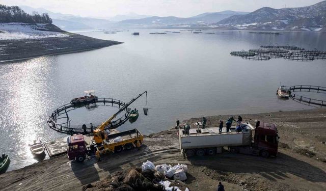 Tokat’ın somonları Karadeniz’de büyüyüp dünya sofralarına ulaşıyor