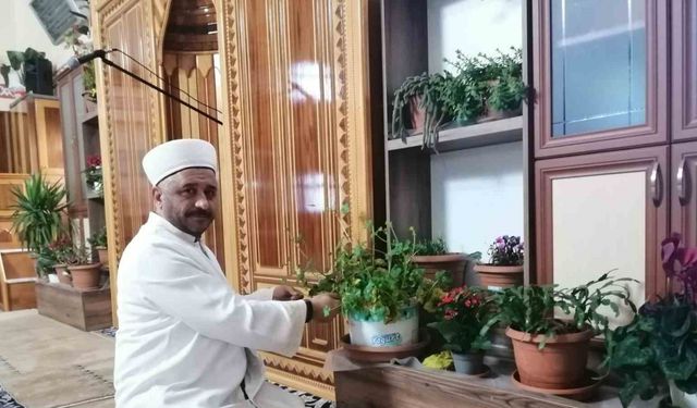 Tokatlı imam cami içini çiçek bahçesine çevirdi