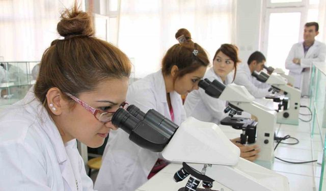 Türkiye’nin doktoralı mezun sayısı artıyor