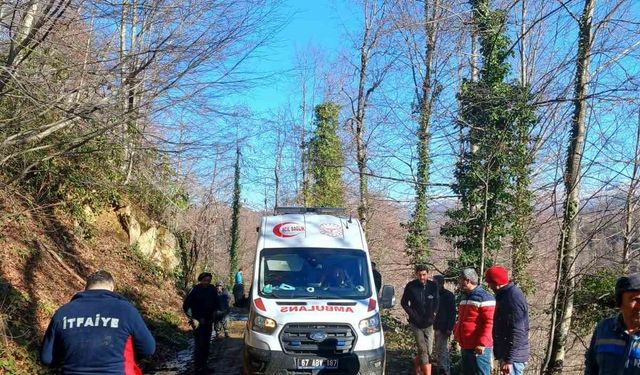 Üzerine tomruk devrilen işçi yaralandı