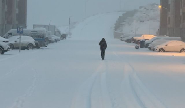 Yüksekova’da lapa lapa kar yağışı başladı