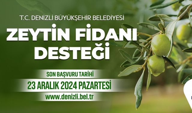 Zeytin fidanı desteği başvuru süresi uzatıldı