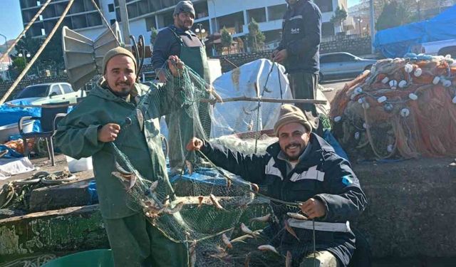 Zonguldak’ta barbun balığı bereketi