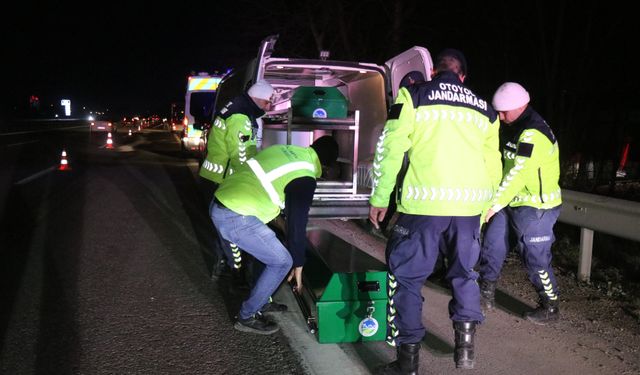 Otoyolda bir kişinin parçalanmış cesedi bulunmuştu: Yeni detaylar ortaya çıktı