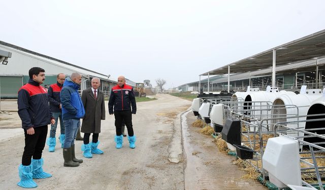 Kırklareli Valisi Turan, modern hayvancılık tesisini gezdi