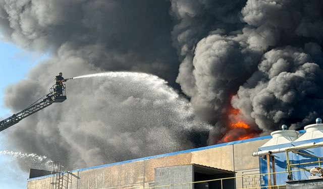 Kırklareli'nde oyuncak fabrikasında yangın çıktı