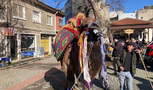 Lapseki'de vatandaşlar deve gösterilerine davet edildi