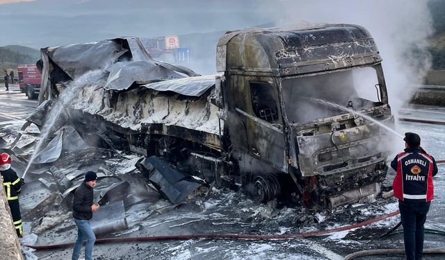 Sakarya'da seyir halindeyken alev alan tır yandı