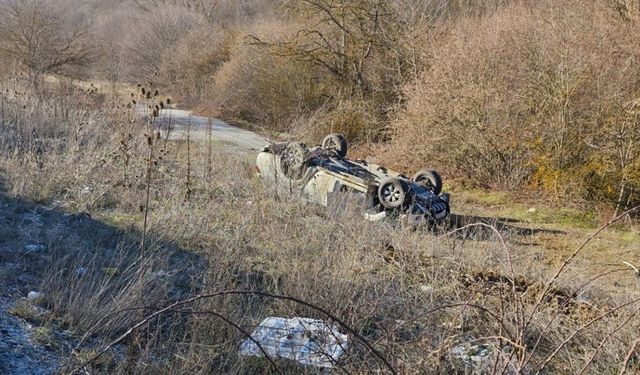 Söğüt'te kamyonetin şarampole devrildiği kazada 2 kişi yaralandı