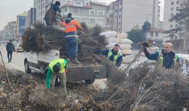 Kayseri Büyükşehir 'yeşil Kayseri' için çalışıyor