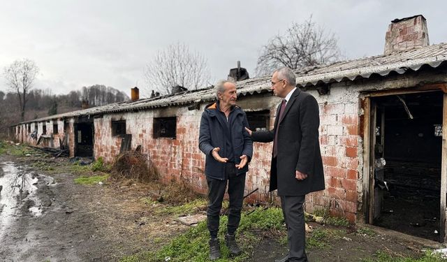 8 bin 700 tavuk telef olmuştu, Kaymakam Pişkin çiftlikte incelemelerde bulundu