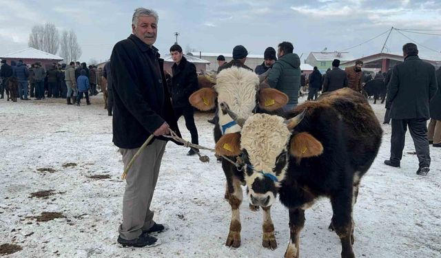 Ağrı Hayvan Pazarı’nda dondurucu soğuk çileye dönüştü