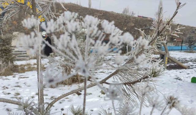 Ardahan’da Sibirya soğukları