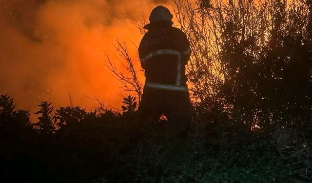 Arsuz’da kamışlık alanda çıkan yangın söndürüldü