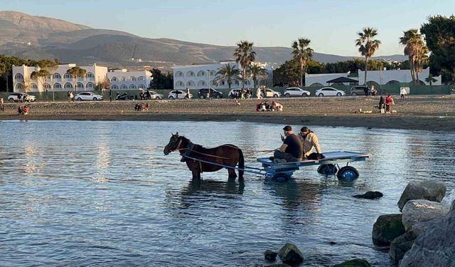 At arabasıyla denize girip güneşlendiler