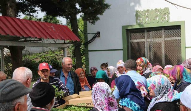 Atakum’da çiftçiye 30 bin sebze fidesi ve tohum desteği