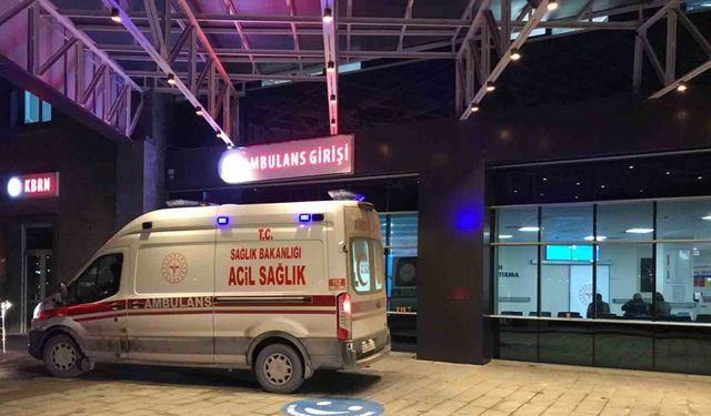 Bilecik’te orta refüje çarpan araçtan bulunan 2 kişi yaralandı