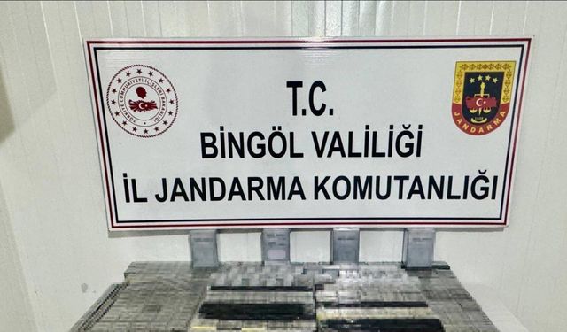 Bingöl’de aranan 2 şahıs yakalandı