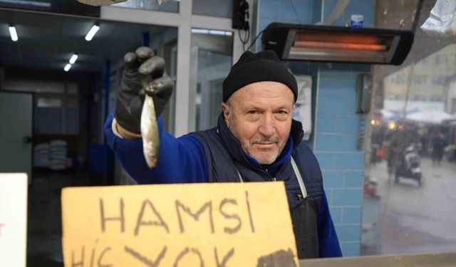 Bolu’da hamsinin yokluğu fiyatları yükseltti