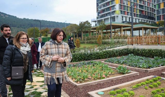 Çocuk Tarım Parkı hizmete açılmaya hazırlanıyor