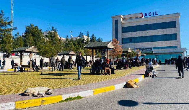 Diyarbakır’da köpek saldırısına uğrayan çocuk kafasından yaralandı