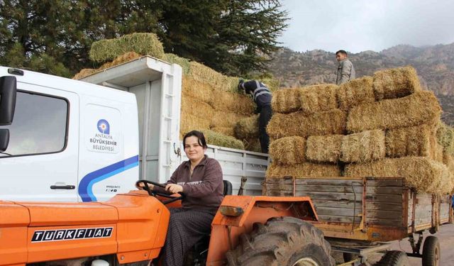 Elmalı Yuva’da saman desteği afetzedelerin yüzünü güldürdü