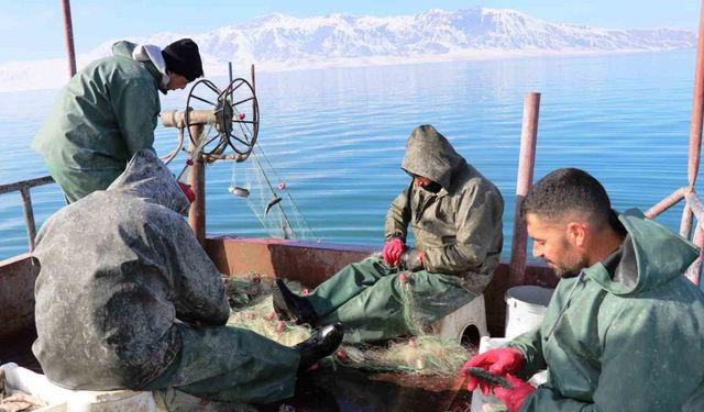 Erçek Gölü’ndeki balık popülasyonu balıkçıları sevindirdi