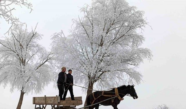 Erzincan’ın Otlukbeli ilçesi buz tuttu!